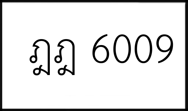 ฎฎ 6009